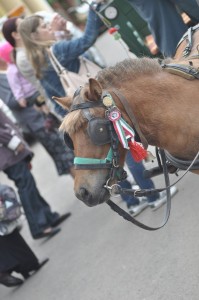 nagyrede-csaladinap-0038