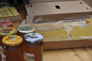 nagyrede-csaladinap-0061