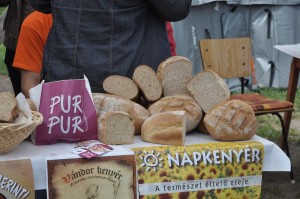 nagyrede-csaladinap-0064