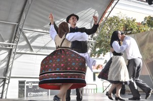 galeria-szuret-nagyrede-0010