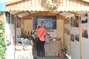 galeria-szuret-nagyrede-0012