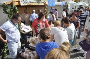 galeria-szuret-nagyrede-0013