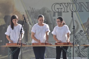 galeria-szuret-nagyrede-0024