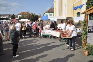 galeria-szuret-nagyrede-0044 