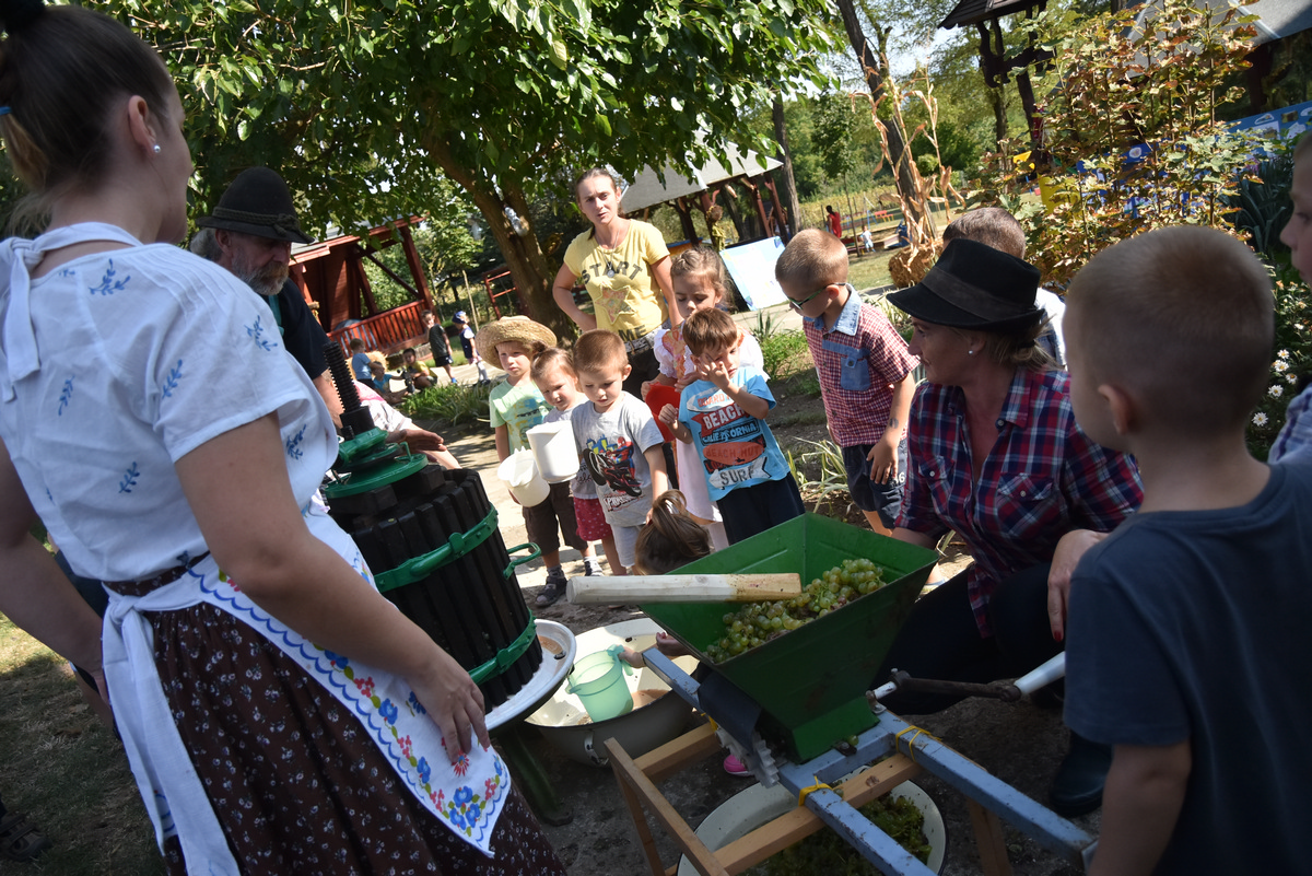 szureti-het-vege-nagyrede-ovi-001