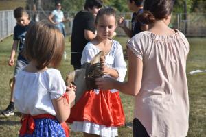 pulya-paloc-olimpia-022