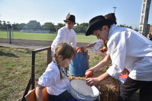 pulya-paloc-olimpia-026