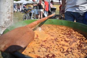 zz-delelott-fevonulas-012