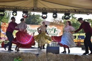 zzz-delutan-este-021