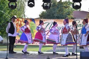 zzz-delutan-este-061