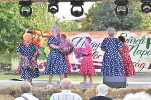 zzz-delutan-este-084