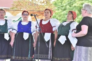 zzz-delutan-este-090