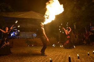 zzz-delutan-este-175