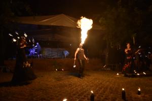 zzz-delutan-este-176