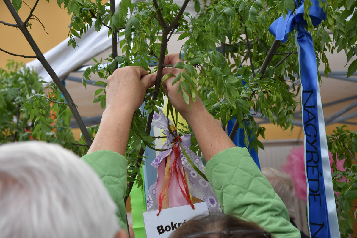 majusfa-nagyrede 1DSC 0235