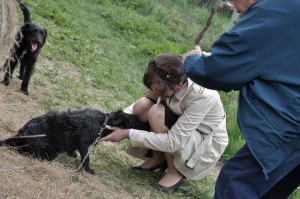 nagyhegyesi-vendegek-010