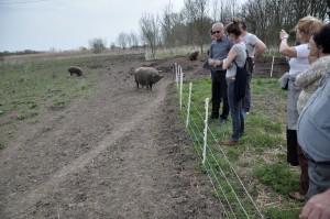 nagyhegyesi-vendegek-015 