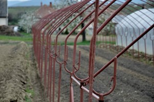 nagyhegyesi-vendegek-022 