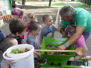 Szüreti hét az óvodában