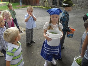 nagyred-ovoda-szuret-003