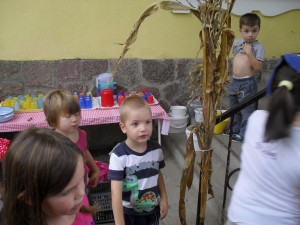 nagyred-ovoda-szuret-007