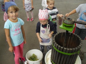 nagyred-ovoda-szuret-009