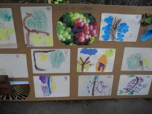 nagyred-ovoda-szuret-012