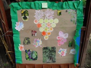 nagyred-ovoda-szuret-013