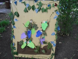 nagyred-ovoda-szuret-014