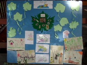 nagyred-ovoda-szuret-015