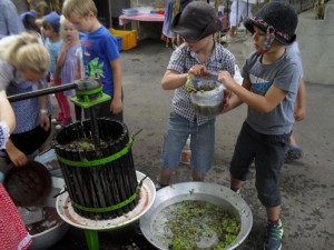 nagyred-ovoda-szuret-018