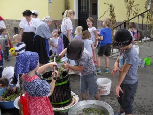 nagyred-ovoda-szuret-019