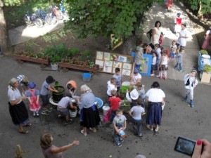 nagyred-ovoda-szuret-021 