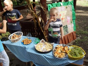 nagyred-ovoda-szuret-026 