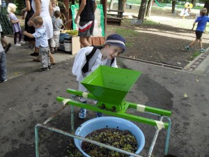 nagyred-ovoda-szuret-030 