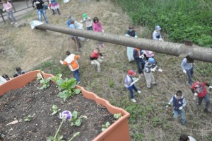 teszedd-nagyrede-0006 